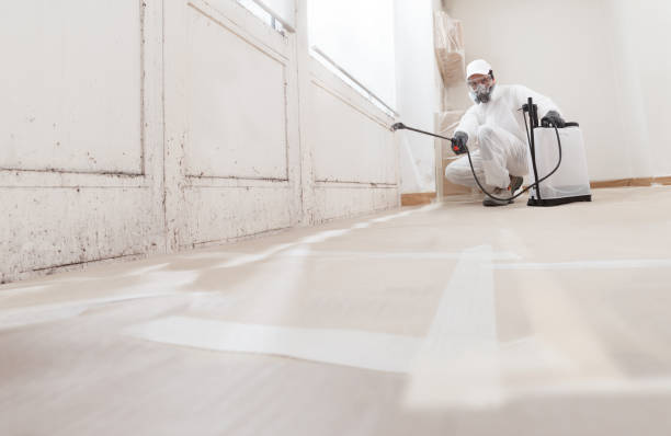 24/7 Emergency Mold Remediation experts in Jamestown, CO